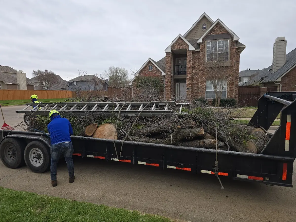 Expert Lot Clearing with proper safety equipment in Armuchee
